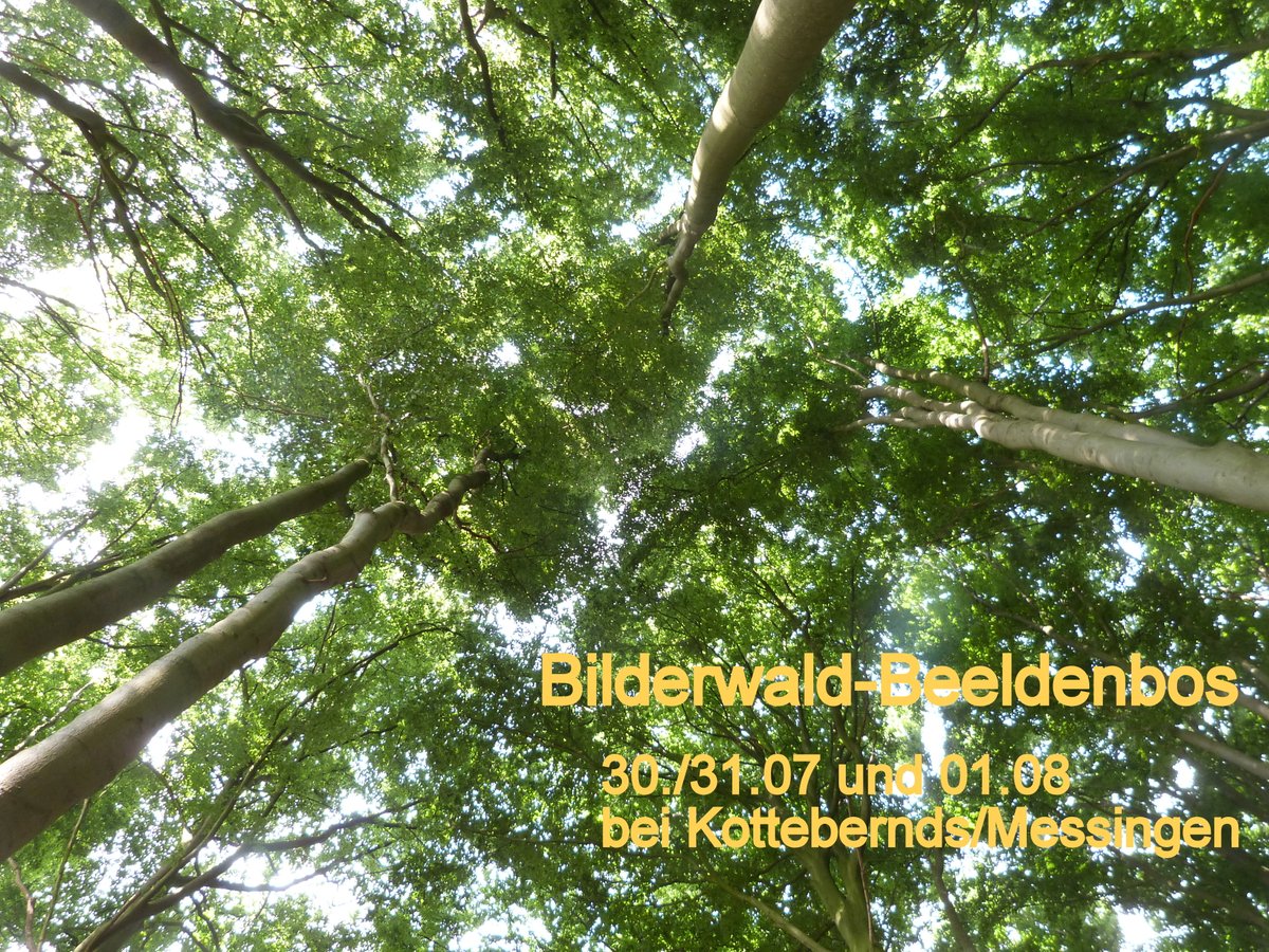 hvmessingen's tweet photo. "Bilderwald- Beeldenbos": morgen am 30.07. um 18 Uhr ist die Ausstellungseröffnung! Unsere Messinger Künstlerin Sina Barkmann ist beteiligt!
 Ihr könnt Euch die virtuellen Kunstwerke in augmented reality noch am 31.07 und am 01.08.2021 tagsüber anschauen . Herzlich willkommem! https://t.co/6cJMEm8zTO