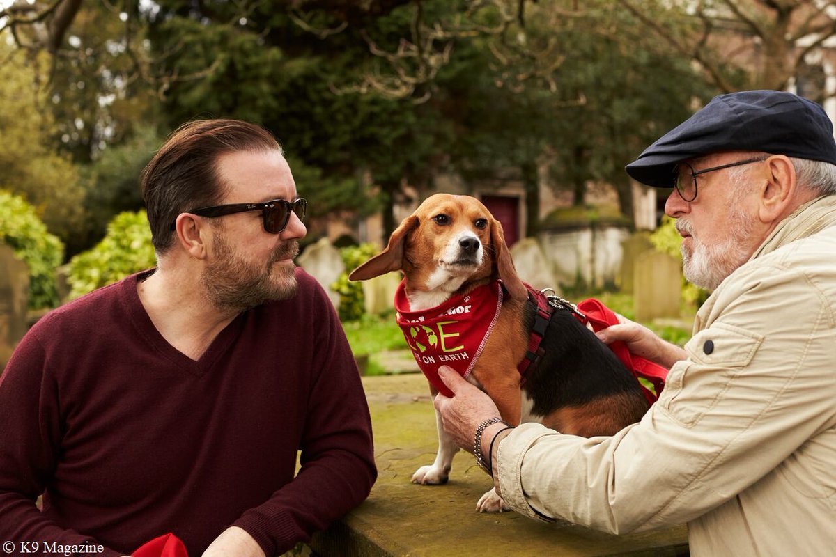 @talkRADIO <a href="/TVKev/">Kevin O'Sullivan</a> <a href="/PeterEgan6/">Peter Egan</a> Rescued laboratory @ScarlettBeagle woofs:

"Thank you for this amazing interview! Please sign &amp; share my hero <a href="/PeterEgan6/">Peter Egan</a>'s Parliament Petition: Change the law to include laboratory animals in the Animal Welfare Act" @blandy73

Pawprints here! 🐾✍️👉 petition.parliament.uk/petitions/5917… #Dogs