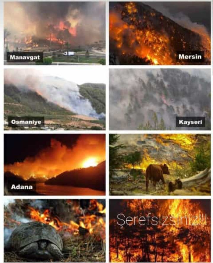 Ülke’den Kıbrıs’a 8 uçak ile gidenler ruslardan kiraladığımız 3 uçak İle yangını söndürmeye çalışıyor, 
orman bakanı  #istifa etsin .