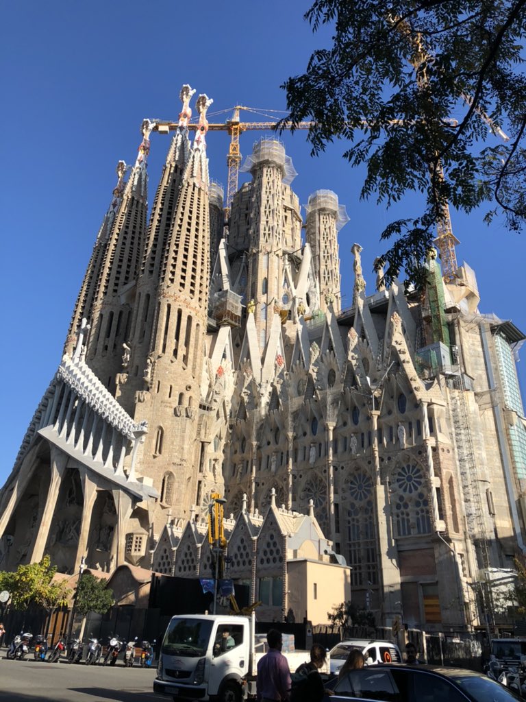 Nico Vibert tweet media