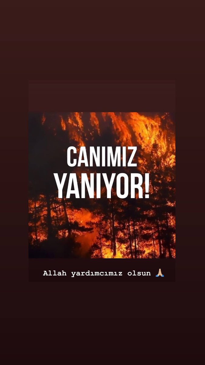 Ali78081178's tweet photo. #TürkiyeYanıyor içim gitti Allah'ım yardim et bu nasıl vicdan bu nasıl insanlik gitti canlar gitti bunun vebaliyle geberin inşallah pisliğinizde boğulun https://t.co/W2vs8qM9Dy