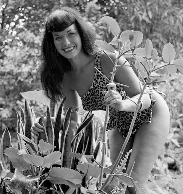 Nature’s wonders abound — especially when Bettie’s around!  🌿💕🌱

#bettiepage #bunnyyeager #pinup #1950s