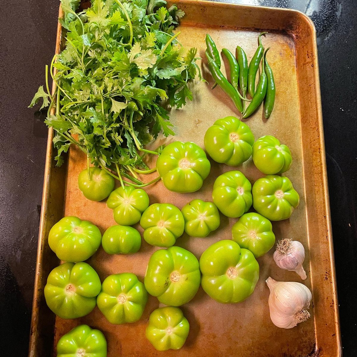 It’s #salsaverde season! Thrilled that all the ingredients were ready in the garden at the same time! #tomatillos
