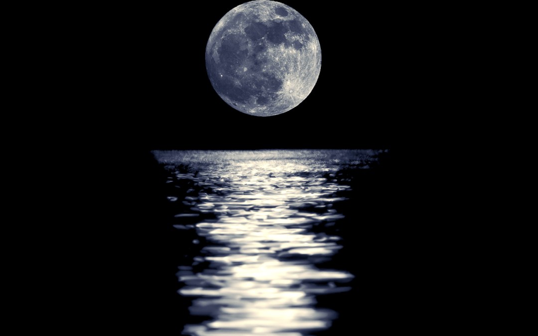 Jaizki56 tweet media