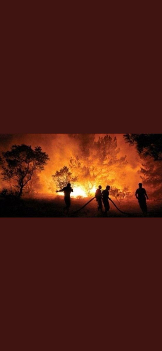 meryemmsemizz's tweet photo. 1 kişiye 8 özel uçak.
83 milyon kişiye 3 uçak
Biz zaten yanmışız!
#TürkiyeYanıyor https://t.co/4UeHFGa52Y