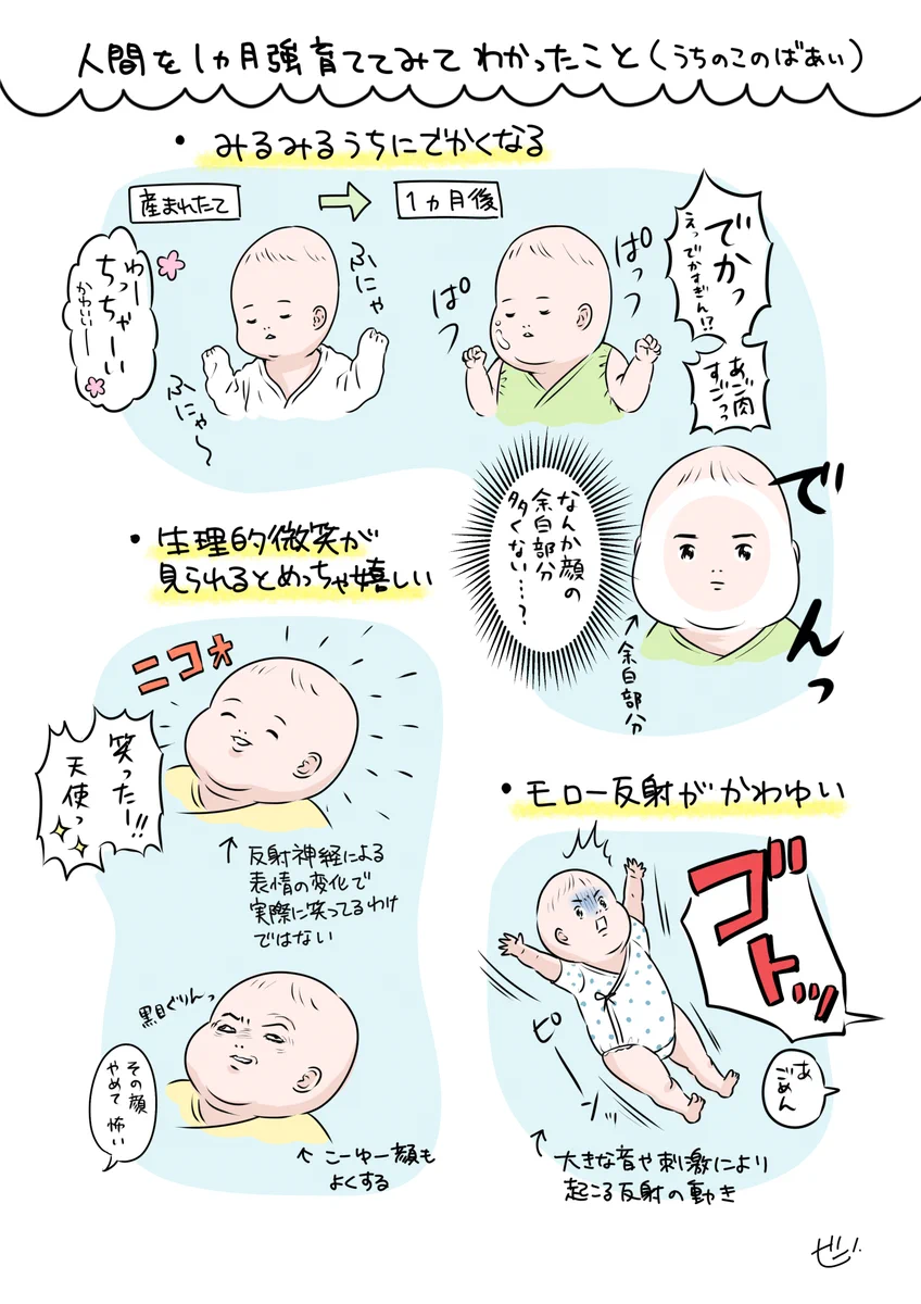 我が子を観察してみた！その結果、１ヶ月強育ててみてわかったことがこちら！