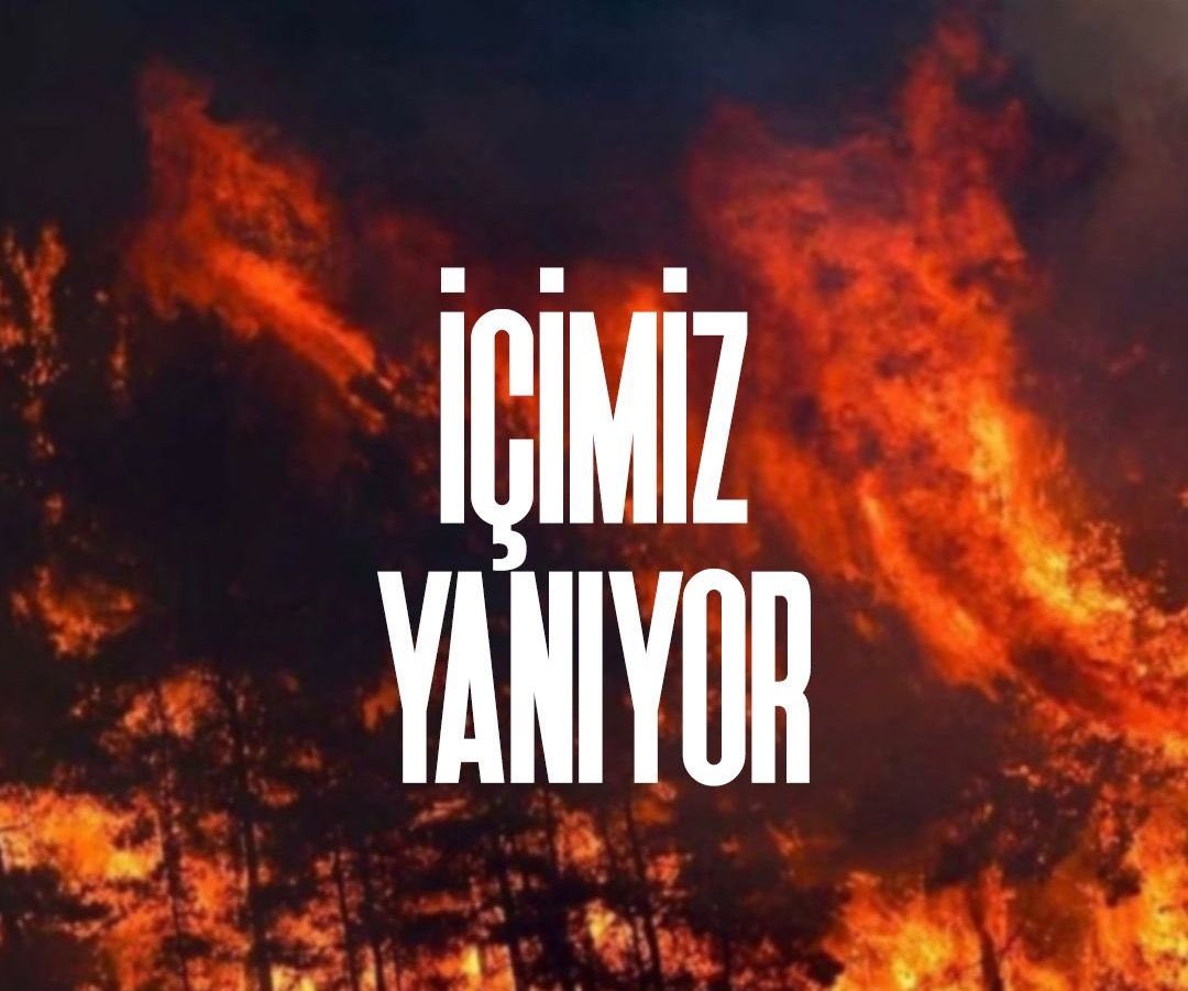 MuhammedAkyuzlu's tweet photo. Her şeyi affedin. Fakat vatanınıza ihanet edenleri asla affetmeyin.

Hz. Ali (r.a)

#TürkiyeYanıyor #AtesinCocukları #PKKyakti https://t.co/hRUYO3V2V5