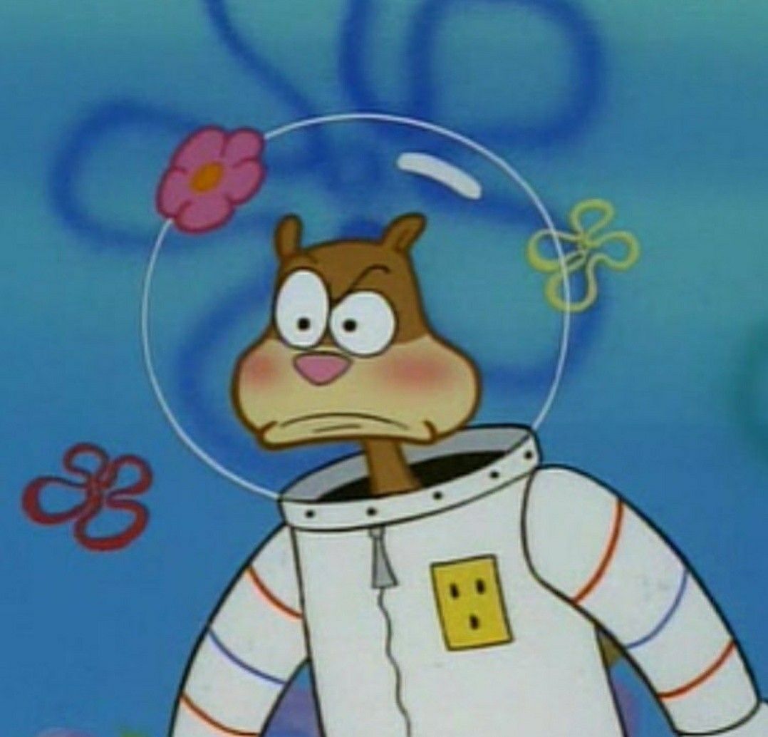 What the hell does that mean