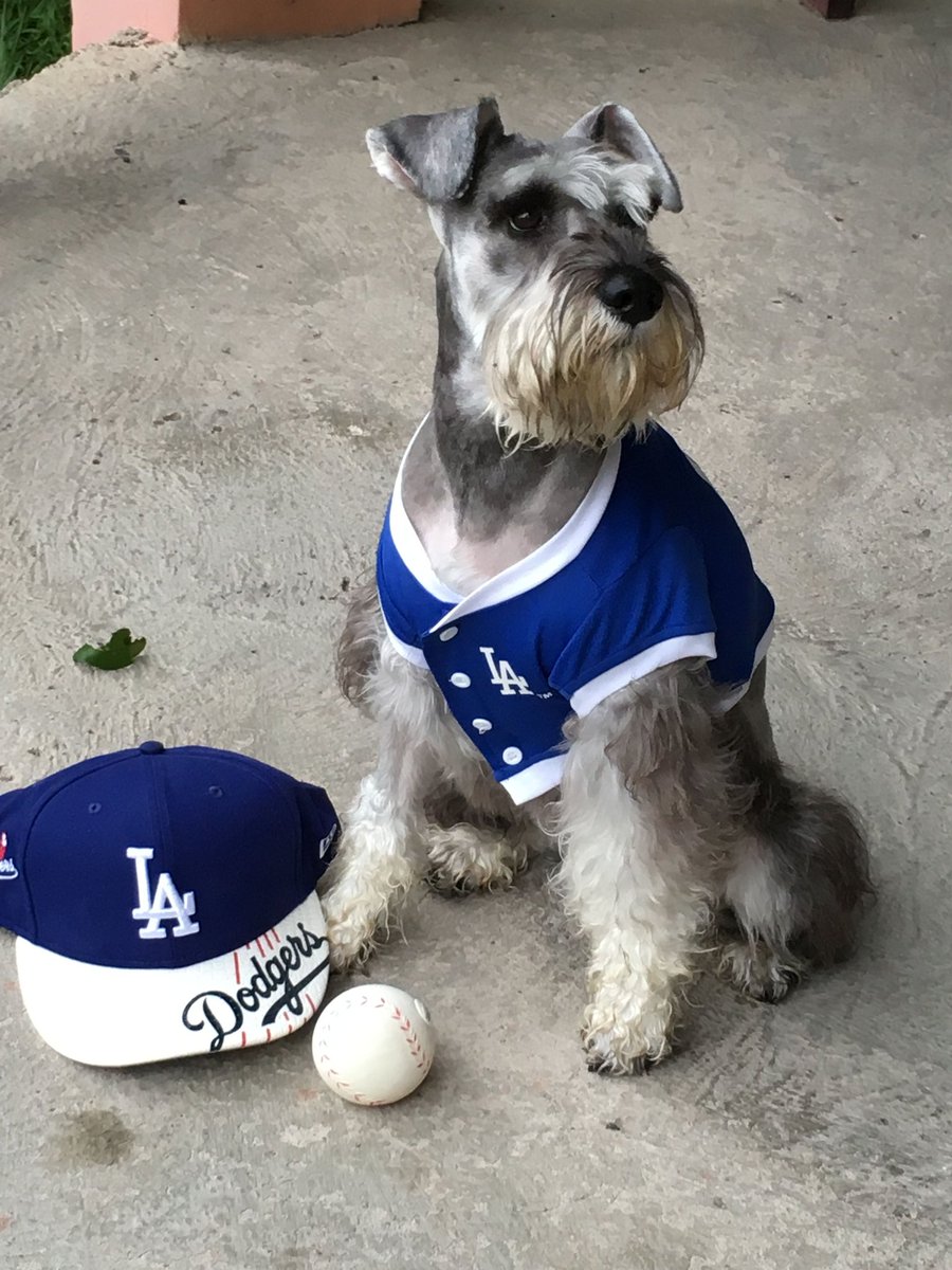 BREAKING: The Dodgers have aquired Max Schnauzer from the Humane Society.