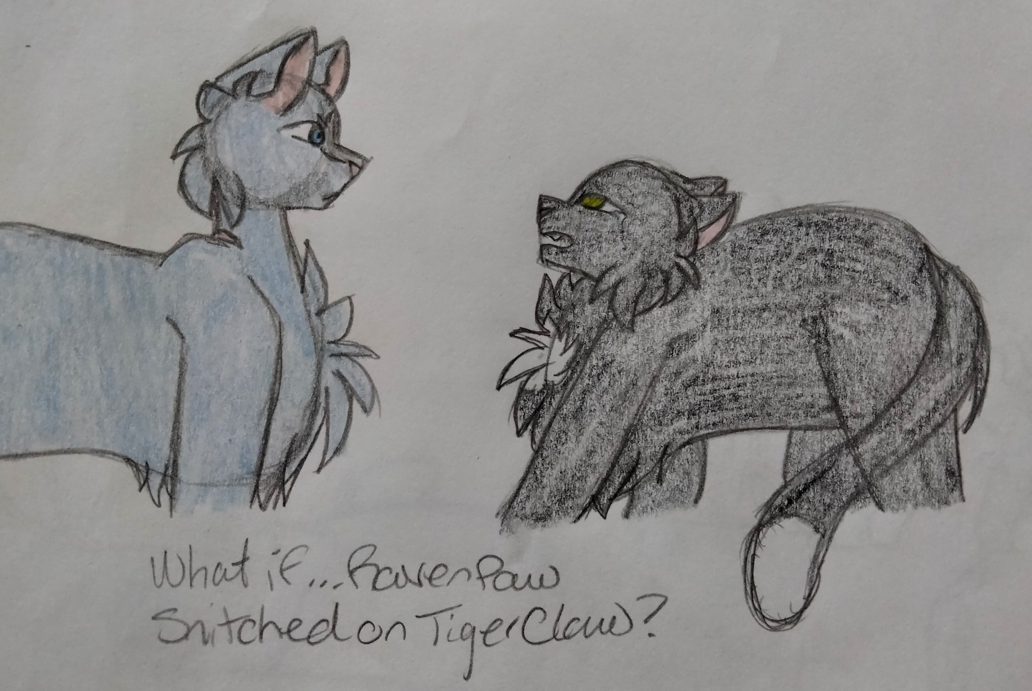 Tigerclaw and Ravenpaw