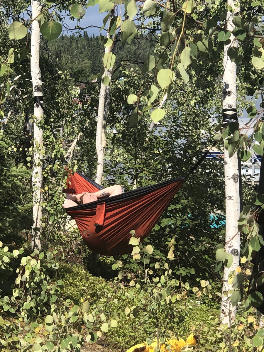 gomer2323's tweet photo. One of the moms enjoying the Vitamin D. #RoadtrippinAk #HardingLake https://t.co/mXlB4Vr5mL
