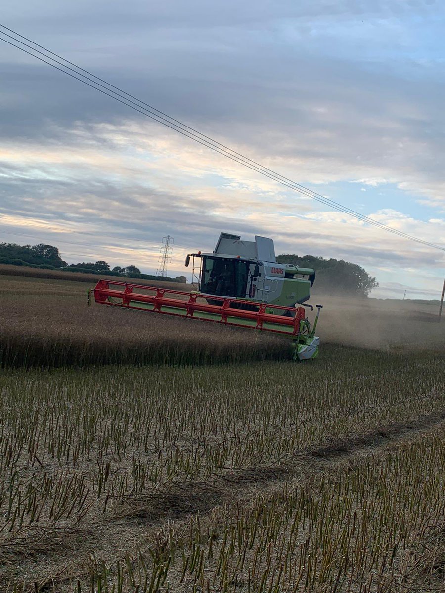MJTosdevineLTD's tweet photo. Into the OSR today 🌾 https://t.co/H1ZugXKmmR
