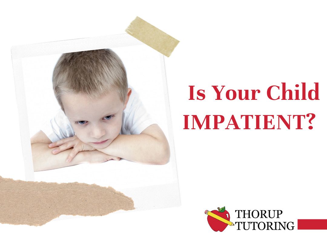 ThorupTutoring's tweet photo. Do you have a child who is chronically impulsive? Is he or she impatient? Learn more with this helpful article.https://t.co/vPGXeFumPF https://t.co/YSv4AkNCpd