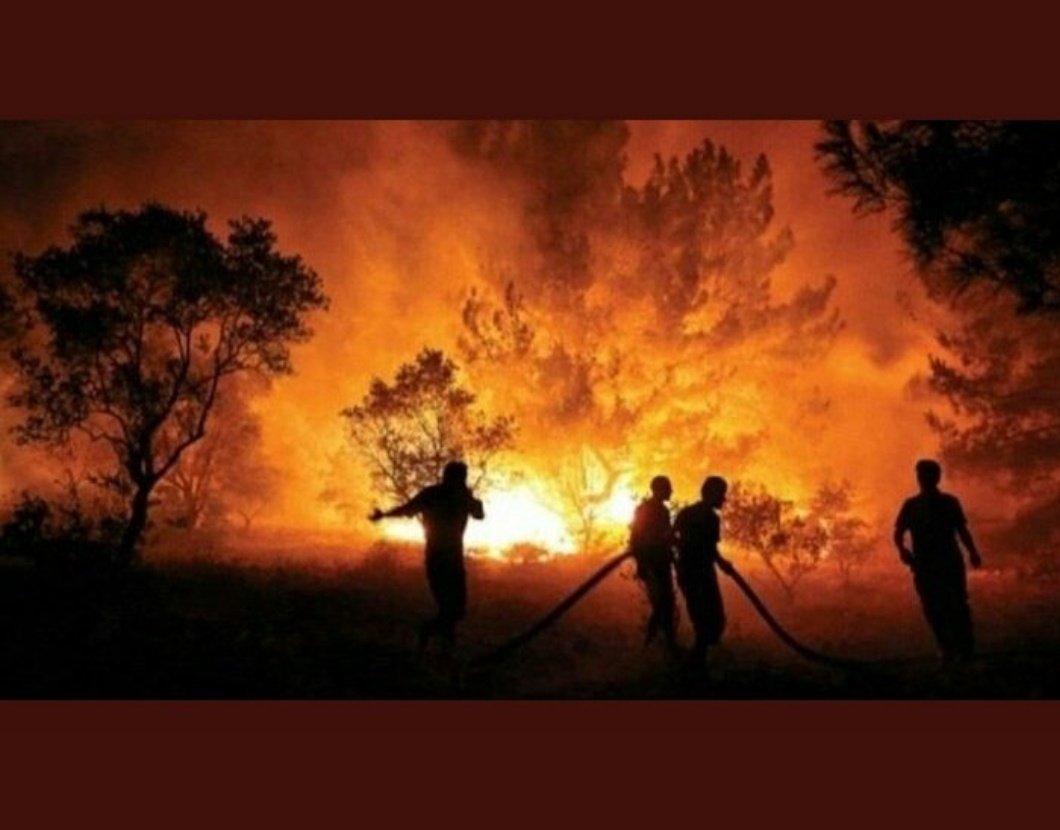 SevincYolchieva's tweet photo. “Acı duyabiliyorsan, canlısın. Başkalarının acısını duyabiliyorsan, insansın.” Tolstoy. 
#PrayForTurkey https://t.co/0kAZWGxntn