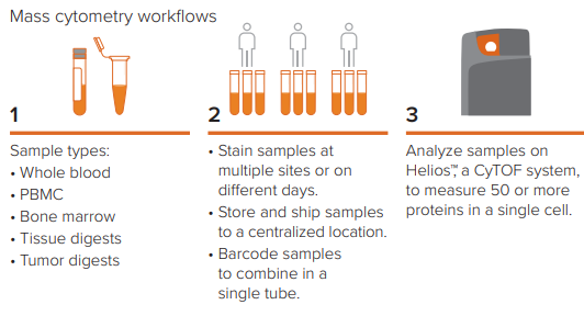 Standard_BioT's tweet photo. Here's how the #CyTOF workflow is ideal for multi-site studies using #cellprofiling to define #immuneresponse and disease immunopathology, refining development of treatments and #vaccines for better disease management.
See global trends #clinicalresearch: https://t.co/N8RWrtk2L2 https://t.co/m4RyIHrqrM