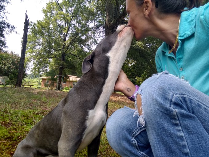 I found a little friend at the showing I did today he gave me kisses... I'm about to log back in for<a href="/tag/vacation"class="tags"><span>#vacation</span></a><a href="/tag/atlanta"class="tags"><span>#atlanta</span></a><a href="/tag/victoriassecret"class="tags"><span>#victoriassecret</span></a><a href="/tag/stonemountain"class="tags"><span>#stonemountain</span></a>