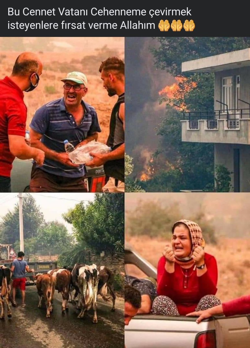 İki ağaç söküldü diye ortalığı inleten zihniyet nerdesiniz şimdi heee😡Binlerce ağaç ve onca canlı yanıyo niye sesiniz çıkmıyo 😡 
Nerdesiniz🔥🔥🔥
#TuerkiyeYanıyor 
#KundakcıPKK