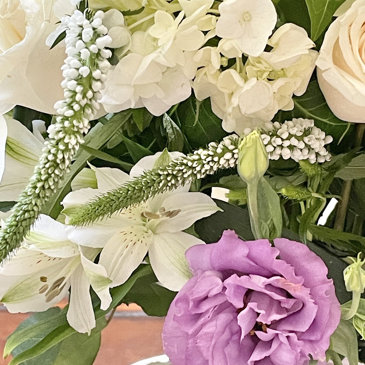 MixedBlooms's tweet photo. Tomorrow is International Day of Friendship, do you have any friends who could use a “just because” bouquet? #withlove ❤️💐
#FriendshipDay #giftofflowers #lisianthus #florist #bloomnation #InternationalDayofFriendship #IDoF21 #DayofFriendship #BFFs #BestFriendsForever https://t.co/txRmGQwTw2