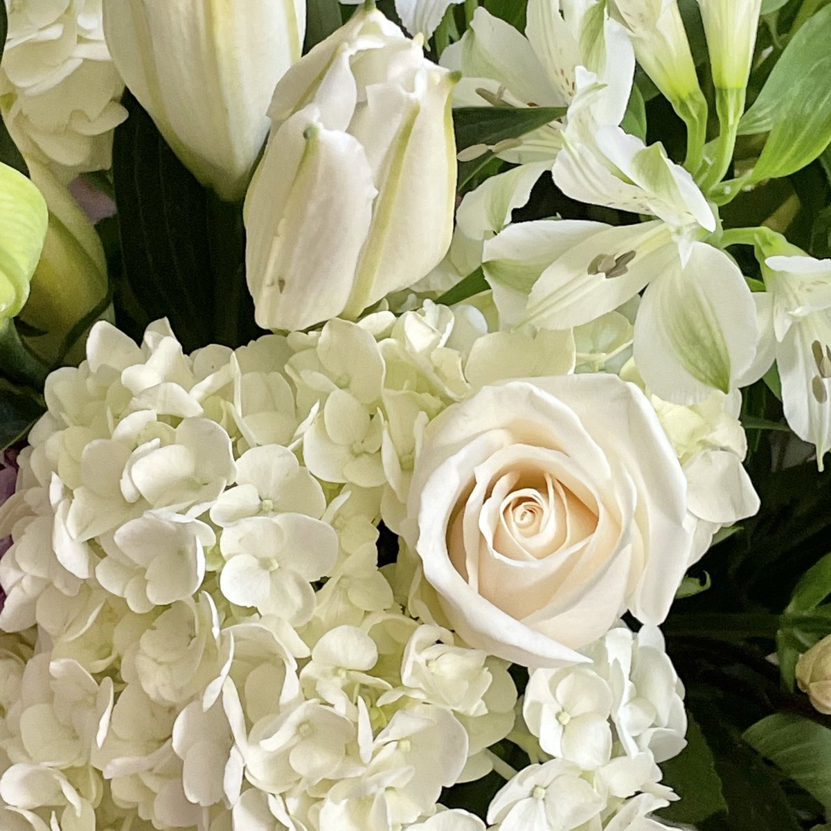 MixedBlooms's tweet photo. Tomorrow is International Day of Friendship, do you have any friends who could use a “just because” bouquet? #withlove ❤️💐
#FriendshipDay #giftofflowers #lisianthus #florist #bloomnation #InternationalDayofFriendship #IDoF21 #DayofFriendship #BFFs #BestFriendsForever https://t.co/txRmGQwTw2