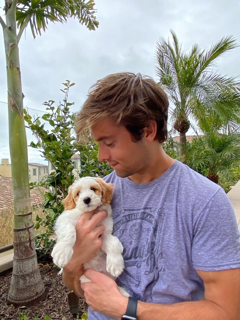 Coisa linda 

HAPPY BDAY AUSTIN NORTH 