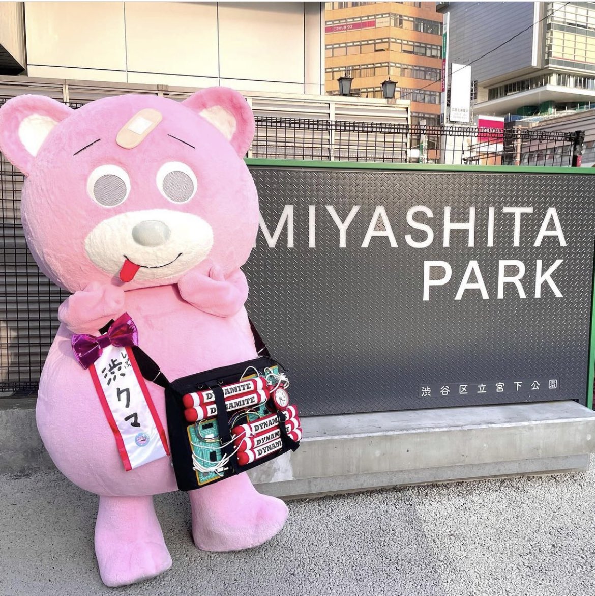 渋クマ ᴥ 公式 Shibukuma21 Twitter 渋クマ ᴥ 公式 Shibukuma21 Twitter