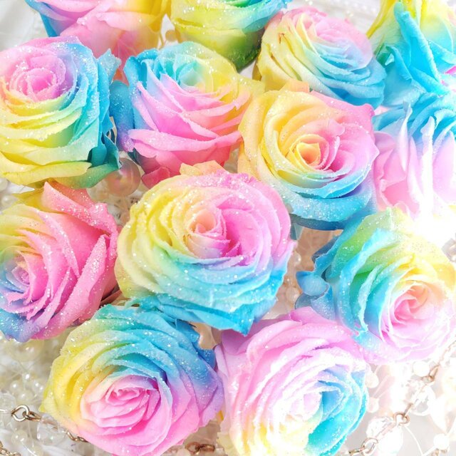 野々花 Nonoka Amanda Red Moon Twitter