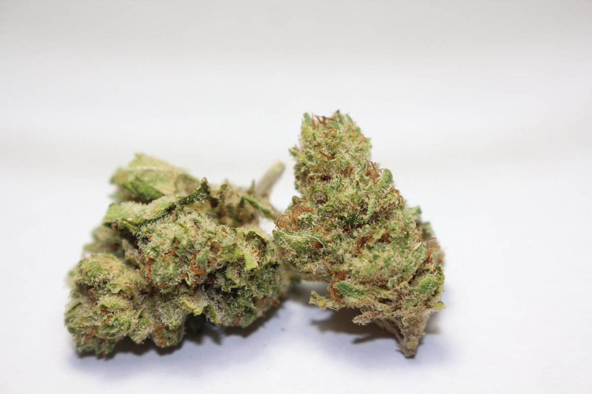 The Cannabis Column tweet media