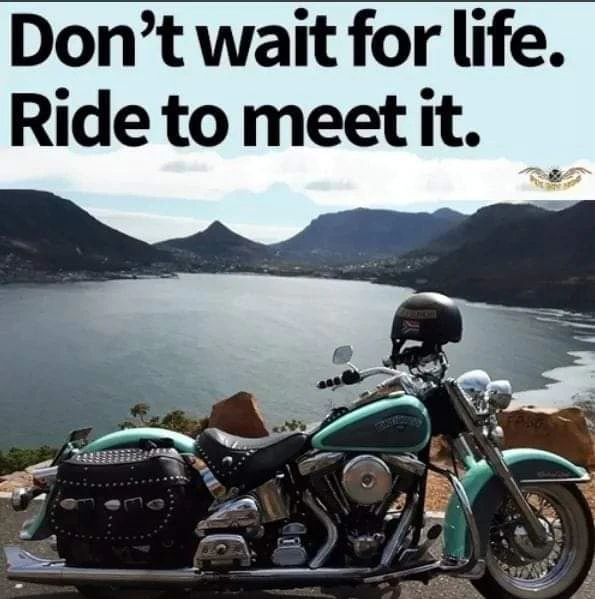 FirmThatRides's tweet photo. Don't just survive, thrive in life! #ThursdayMotivation https://t.co/4J6D2rUB3K
