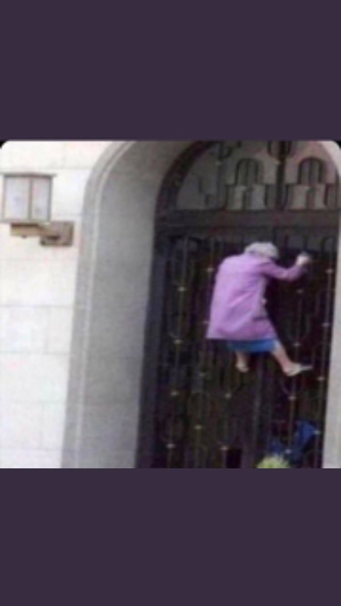biscuitss__'s tweet photo. Me at Snapchat headquarters if they don’t have it fixed in the next 5 minutes #snapchatdown https://t.co/yquo4vlV5Y