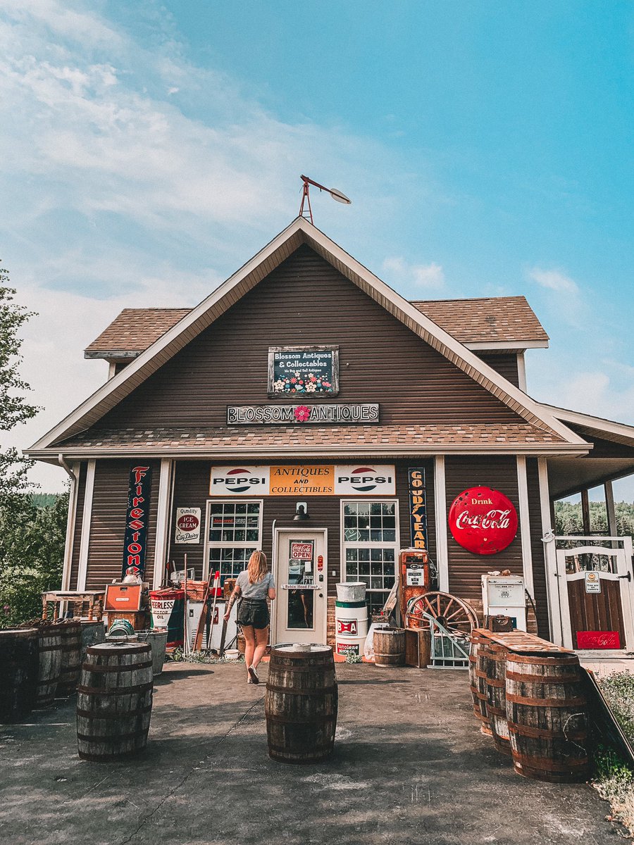TheRealHCD's tweet photo. You gotta go to Blossom Antiques &amp; Collectables in Benton, NL! Located about 15 mins east of Gander. If you’re a fan of everything vintage, this is a must. My friend Renelle’s parents own the shop so we had a little photoshoot yesterday. 😄😎 #ExploreNL #YourBackyardBeckons https://t.co/MqtTiG08W6