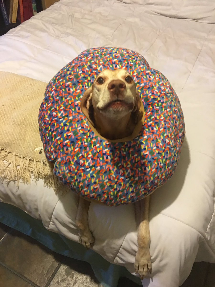 WeRateDogs tweet media