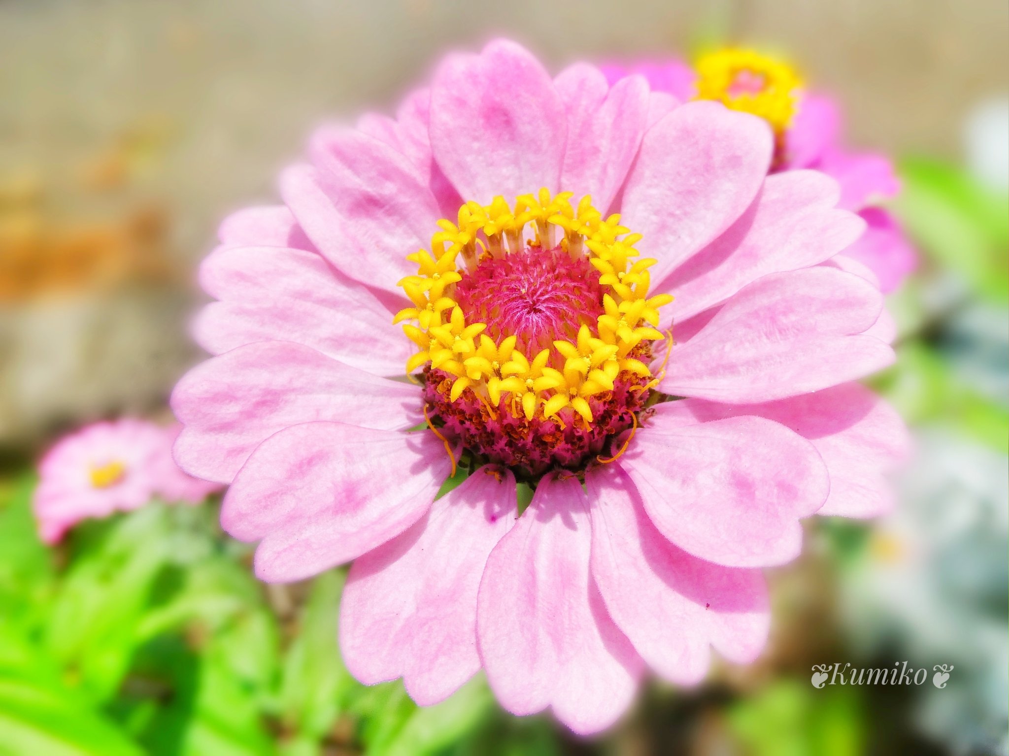 World Day Against Trafficking In Persons Twitter Search Twitter