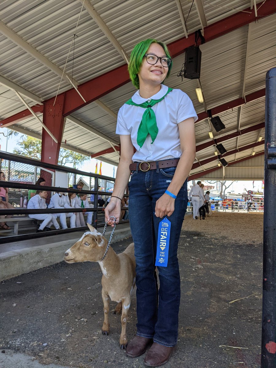 DailyDanica's tweet photo. Blue Iris 🥇!

Confirmation blue ribbon in the 4yo class! https://t.co/VDHwoPAbDt