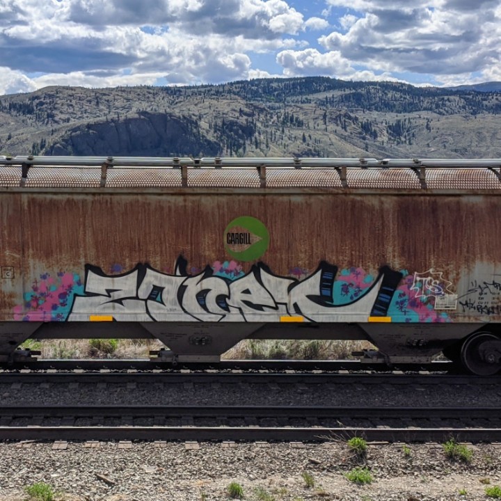 GraffitiExpress's tweet photo. zonek
#kamloops #train #graffiti #art
#zonek https://t.co/SOaRnxtV9p