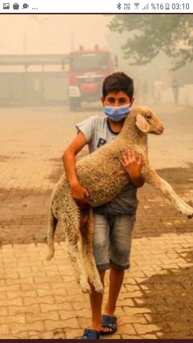 Bir Aslan ile bir Kuzuyu yanyana getirecek tek sey merhamettir..
 #TürkiyeYanıyor