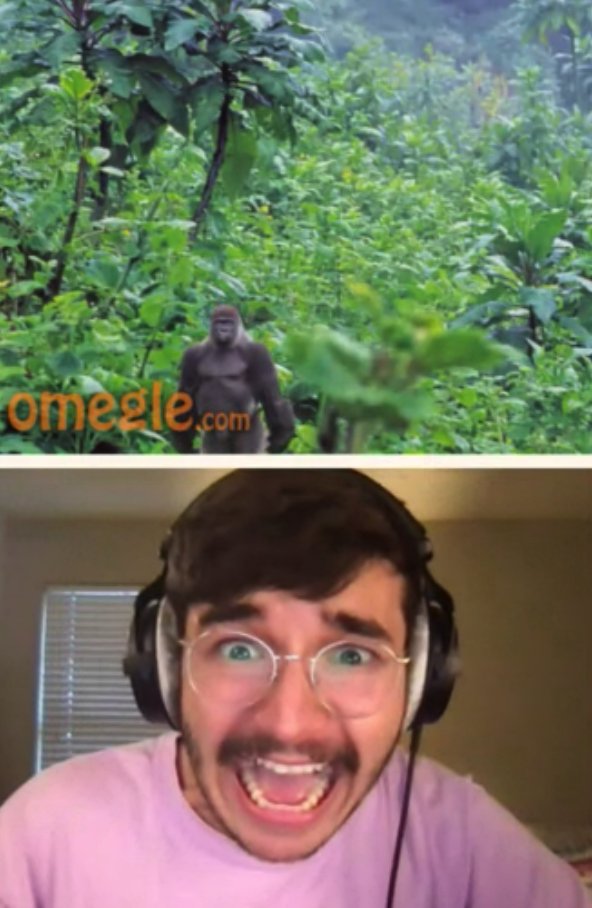 eliderp_'s tweet image. 