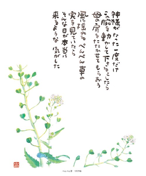星野富弘 星野富弘
