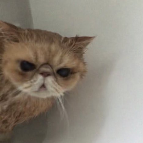 teanbiscuiit's tweet photo. when they don’t main #beeftwt 😟 https://t.co/E1Y1QDLAd5