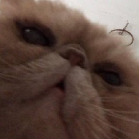 teanbiscuiit's tweet photo. when they don’t main #beeftwt 😟 https://t.co/E1Y1QDLAd5