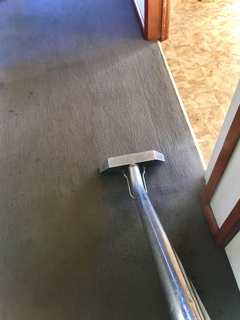 SevenStarCarpetCare tweet media