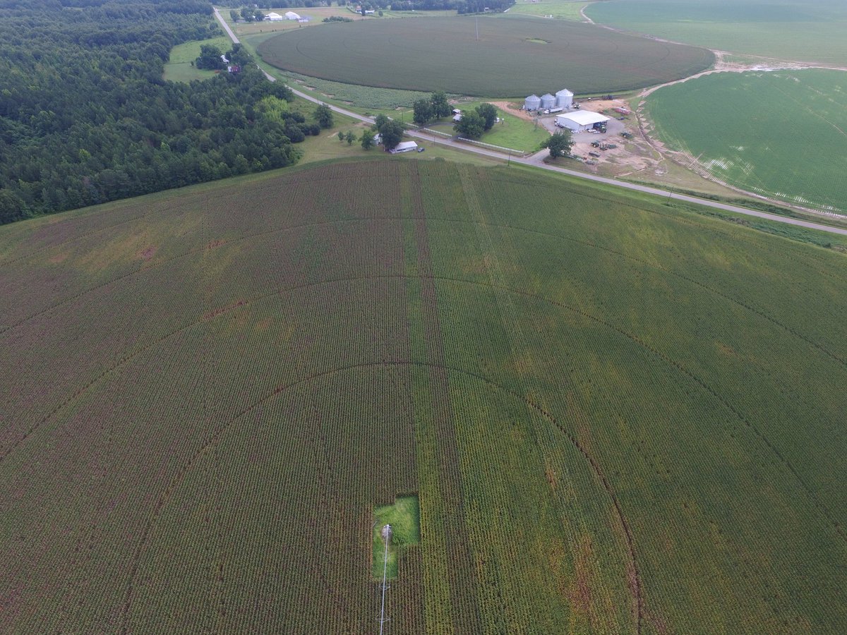 SEfieldwalker's tweet photo. A big thank you to all of our plot cooperators for planting uniform trials across a lot of environments for evaluations of hybrids. #agrsouth, #letstalkcorn https://t.co/r3OjIrMsTM