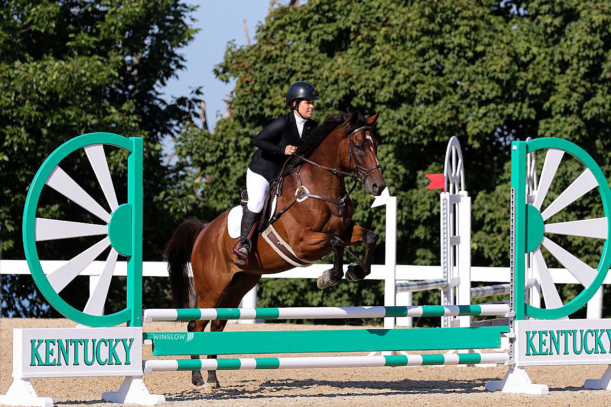 torijada6's tweet image. From big shot stakes winner running against American Pharoah to taking me (greenie who knows nothing) around to now teaching a  15 year old the ropes… I couldn’t love this horse more if I tried. He is worth his weight in gold 🦙🌟💕 #SmartTransition