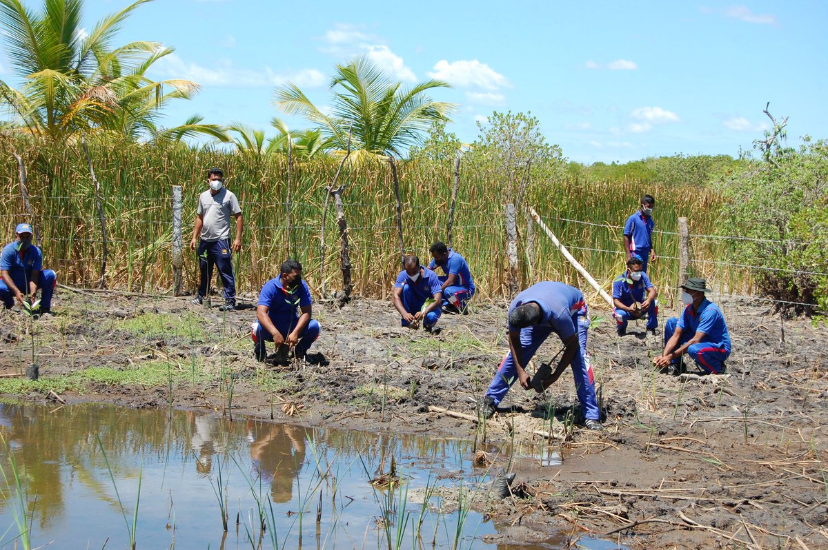 MFA_SriLanka's tweet photo. Celebrating the #InternationalDay for the Conservation of the Mangrove Ecosystem

Full Media Release at: https://t.co/7MpIwPX2R0

#MELAG #MangroveEcosystem #XPressPearl #DiplomacyLk #lka https://t.co/T925BuSeKR