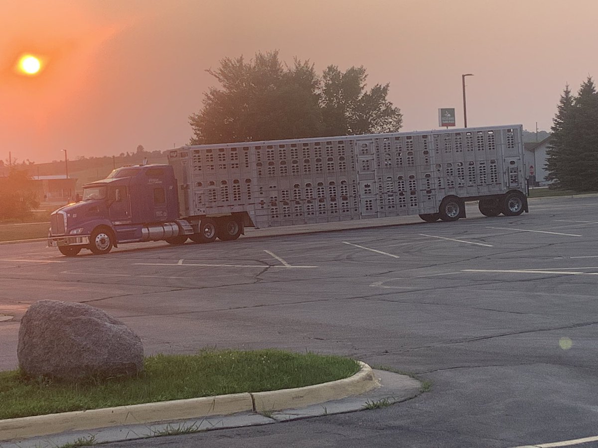 dkhogan99's tweet photo. Beautiful sunset tonight and pretty sharp rig if I say so myself!! https://t.co/cOim6pB6yq