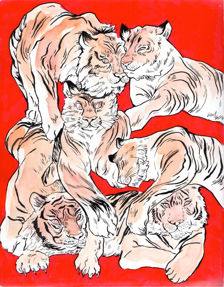 I love tigers so much🐯🐯🐯
#WorldTigerDay 