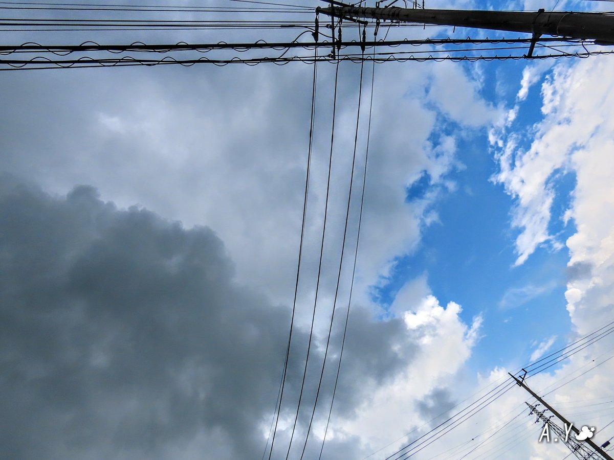 yumeasutw's tweet photo. 🌂小雨が降ったり止んだり🌥️雲間から #青空 が覗く蒸し暑い金曜日の朝💙
予想最高/最低気温🌡️29℃/23℃
雨のち曇り☔➡️☁️
日中は雨が降りやすく🌥️時折日が射すものの☁️雲が多い一日となりそうです。
#金柑
#庭木 #花 #flower
#雫
#空の名前
#雲の教室
#鉄塔 #電線 #電柱
#a2021 #a0730 #a202107 https://t.co/yfeYhD8kRZ