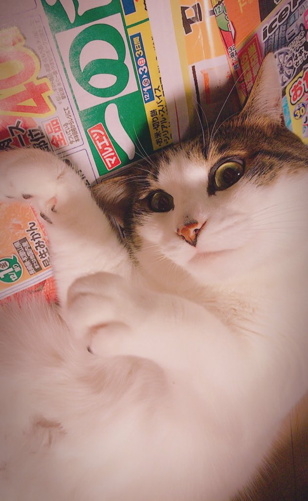 山中 宏明 Sistema56 Twitter