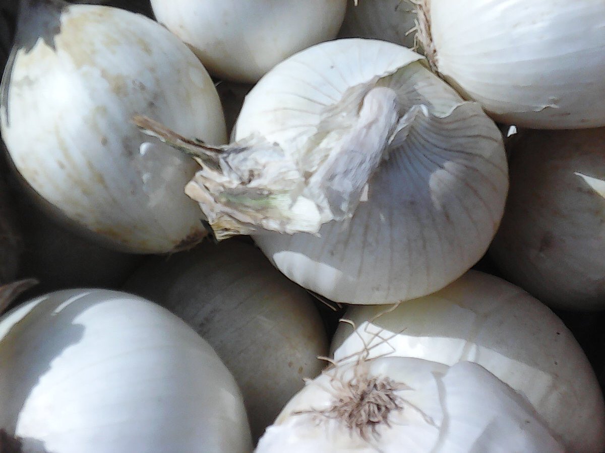 Find these.
Tomorrow.
At the market.
9-1 in the Parkway.