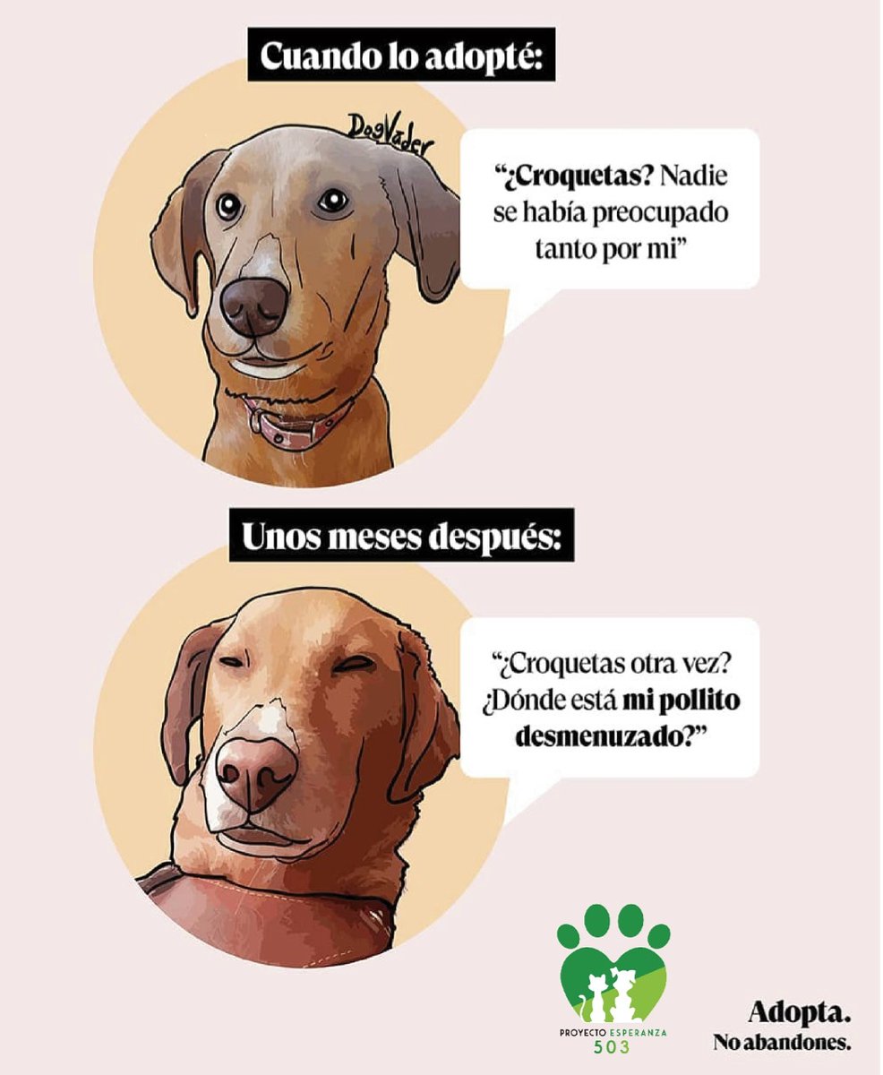 PEsperanza503's tweet image. #HumorPerruno😅