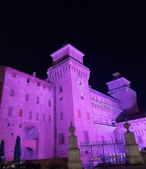 Ferrara e provincia tweet media